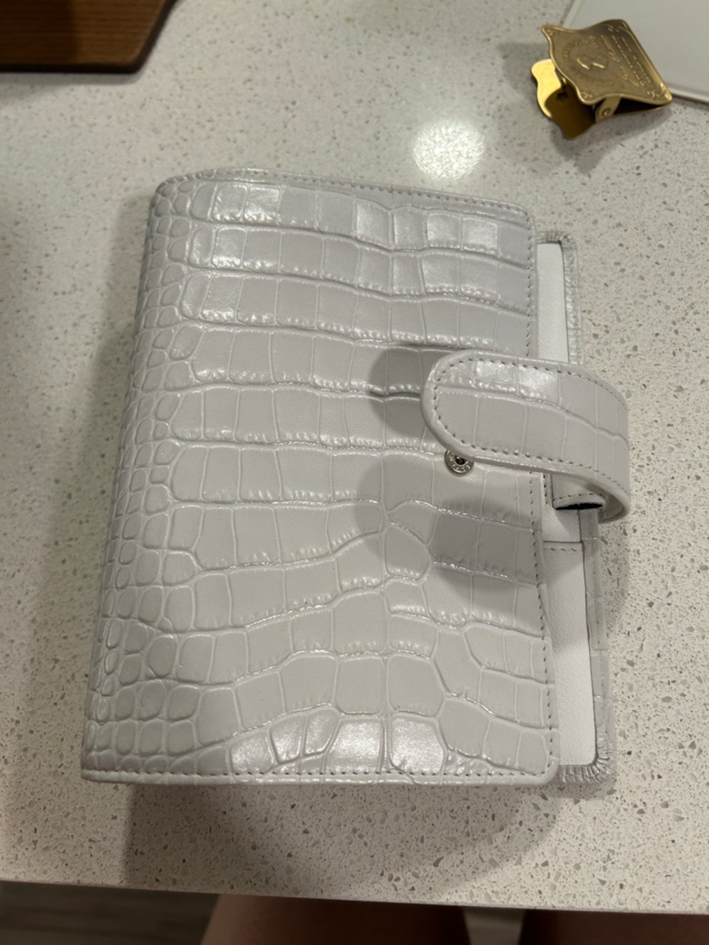 VDS Croc-Embossed planner